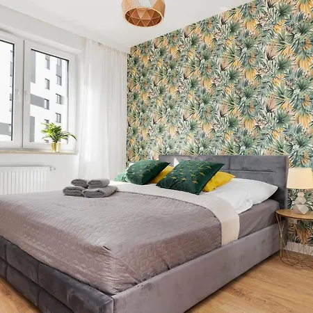 South4you فروتسواف